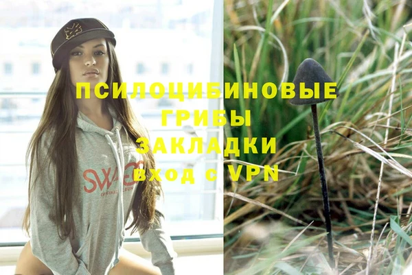 гидропоника Алексеевка