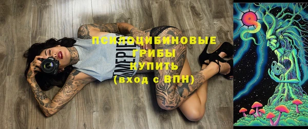СК Нягань