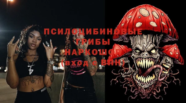 метадон Няндома