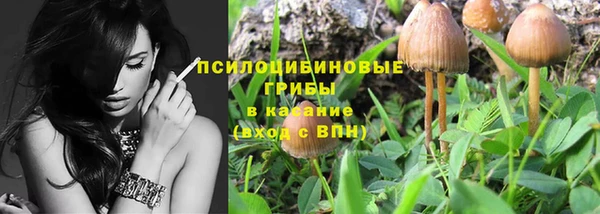 прущая мука Алзамай