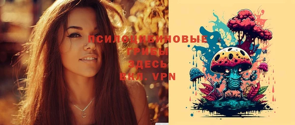 прущая мука Алзамай